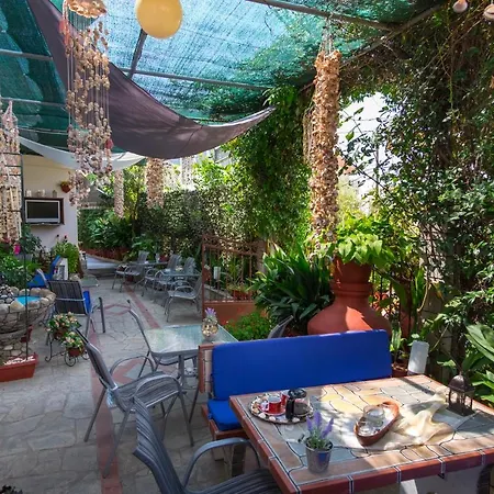 Kostas * Skála Marión